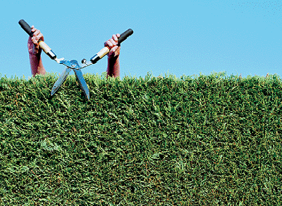 Hedge Hunters